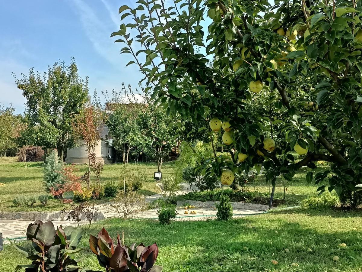 Sapanca Green Dome Εξωτερικό φωτογραφία