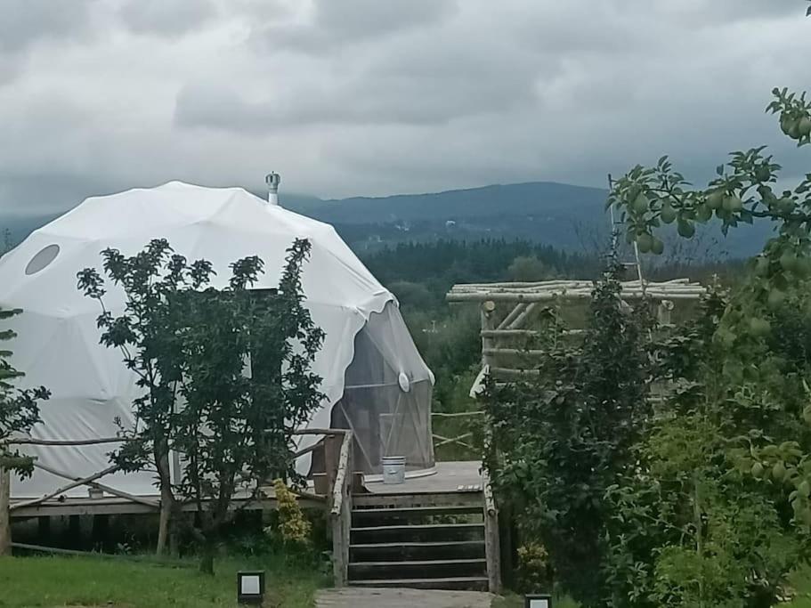 Sapanca Green Dome Εξωτερικό φωτογραφία