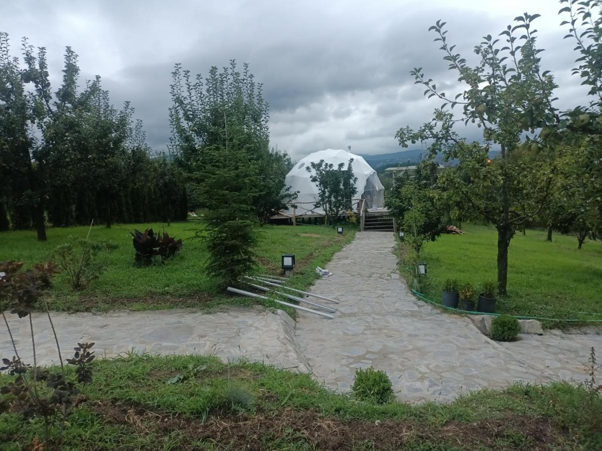 Sapanca Green Dome Εξωτερικό φωτογραφία